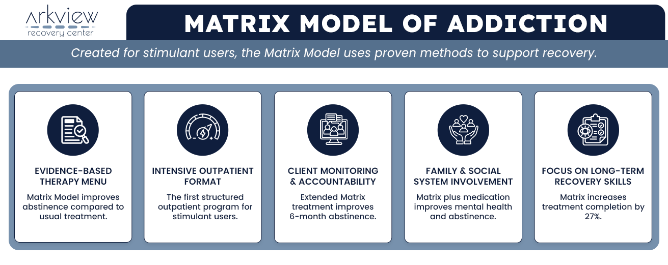 infographic shows matrix model of addiction